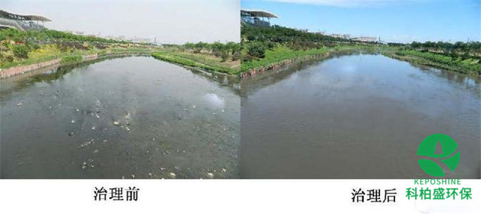 �ط�����(�ɷ�)���޹�˾-�ٷ���վ