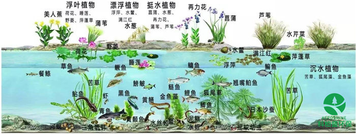 �ط�����(�ɷ�)���޹�˾-�ٷ���վ