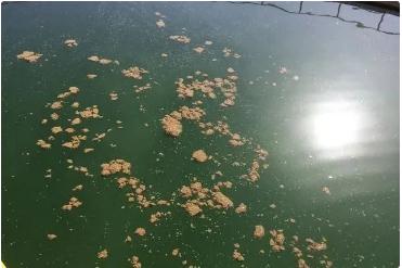 �ط�����(�ɷ�)���޹�˾-�ٷ���վ