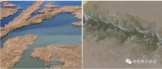 �ط�����(�ɷ�)���޹�˾-�ٷ���վ