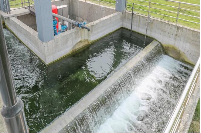 �ط�����(�ɷ�)���޹�˾-�ٷ���վ