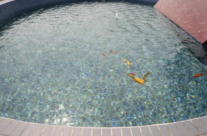 �ط�����(�ɷ�)���޹�˾-�ٷ���վ