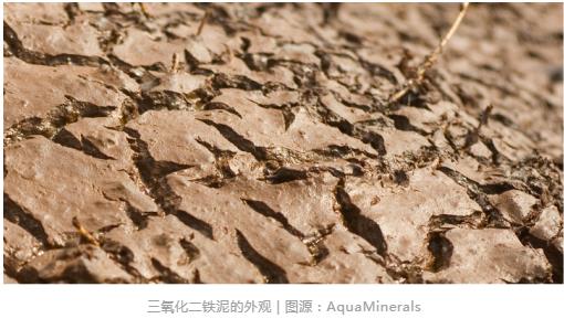 �ط�����(�ɷ�)���޹�˾-�ٷ���վ