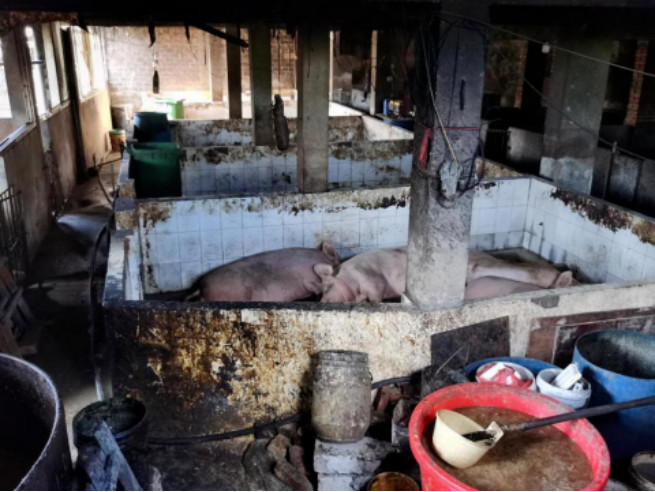 �ط�����(�ɷ�)���޹�˾-�ٷ���վ