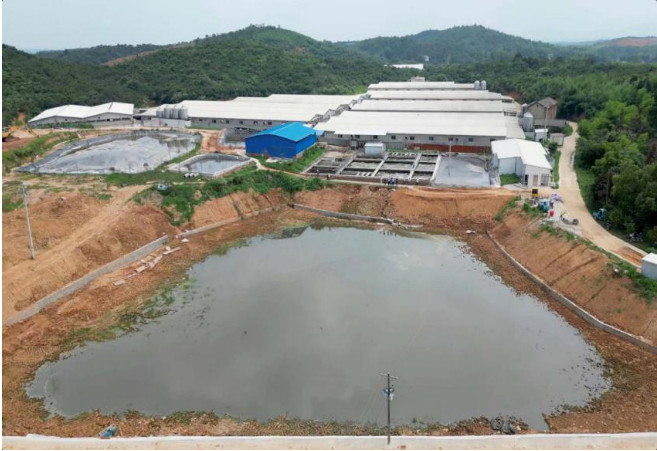 �ط�����(�ɷ�)���޹�˾-�ٷ���վ