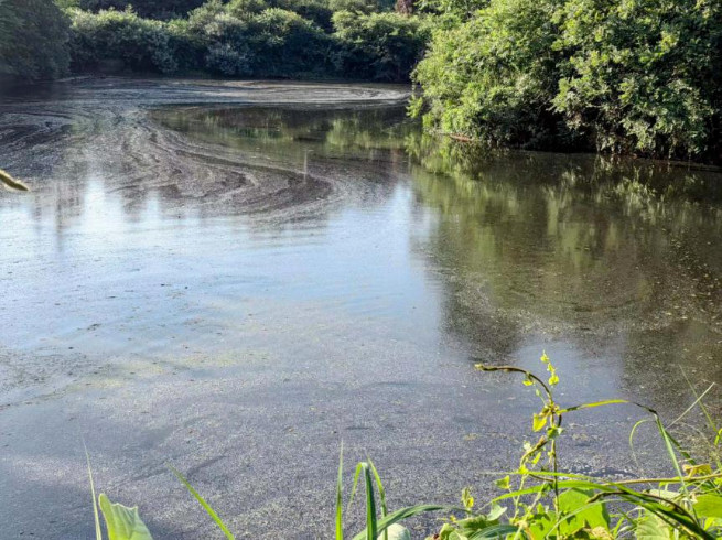 �ط�����(�ɷ�)���޹�˾-�ٷ���վ