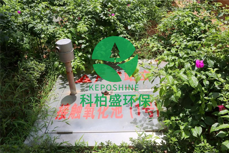 �ط�����(�ɷ�)���޹�˾-�ٷ���վ