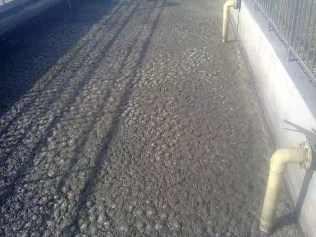 �ط�����(�ɷ�)���޹�˾-�ٷ���վ