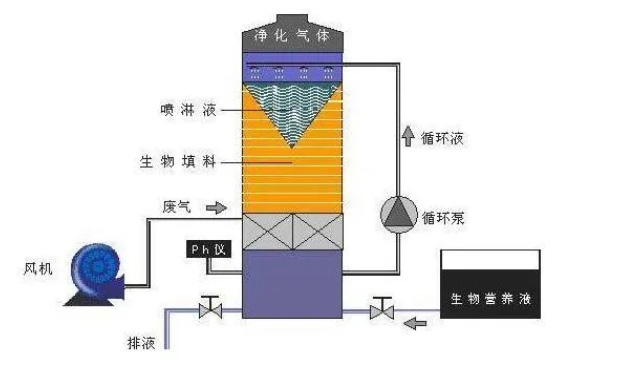 �ط�����(�ɷ�)���޹�˾-�ٷ���վ